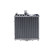 Radiator, miniatyr 3