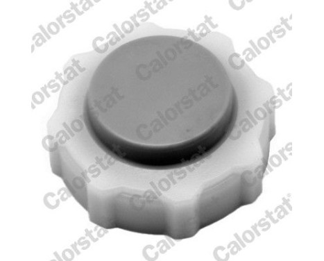 BOUCHON DE RADIATOR / KYLARLOCK