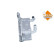 Oljekylare, automatisk transmission EASY FIT, miniatyr 4