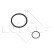 Oljekylare, automatisk transmission EASY FIT, miniatyr 5
