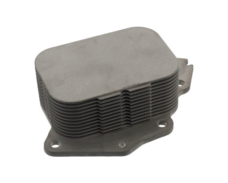 Oljekylare, motor 100544 FEBI
