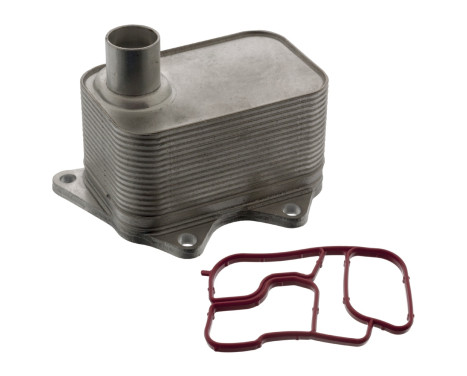 Oljekylare, motor 100856 FEBI