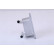Oljekylare, motor 90881 Nissens, miniatyr 3