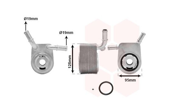Oljekylare, motor