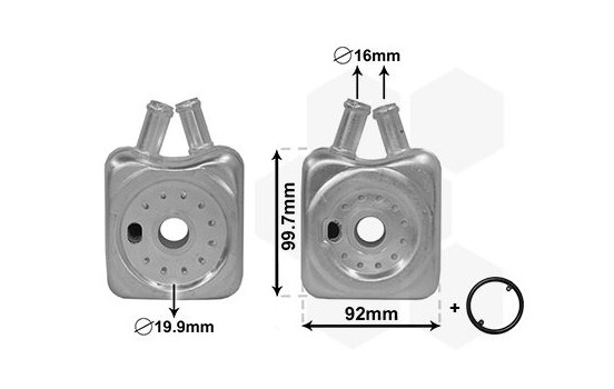 Oljekylare, motor