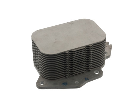 Oljekylare, motor