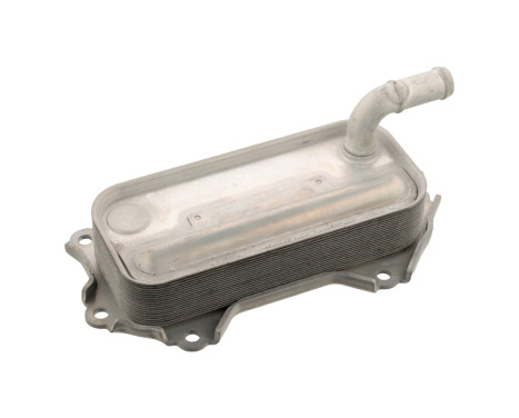 Oljekylare, motor