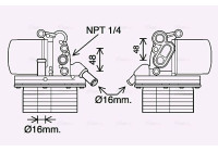Oljekylare, motor