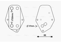 Oljekylare, motor
