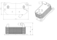 Oljekylare, motor