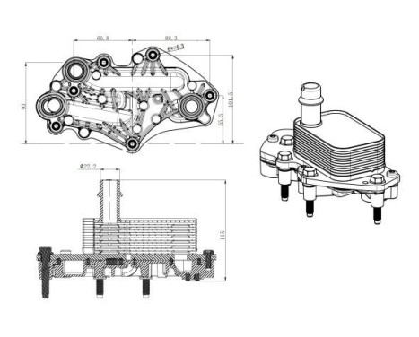 Oljekylare, motor