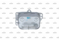 Oljekylare, motor
