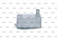 Oljekylare, motor