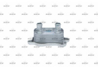 Oljekylare, motor