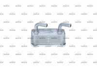 Oljekylare, motor