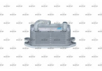 Oljekylare, motor