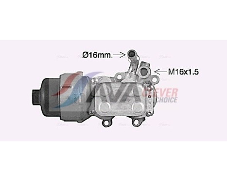 Oljekylare, motor