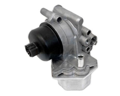 Oljekylare, motor