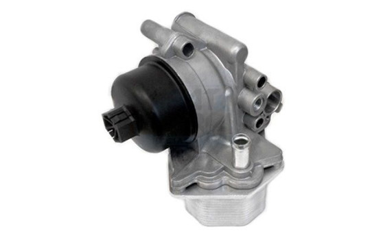 Oljekylare, motor