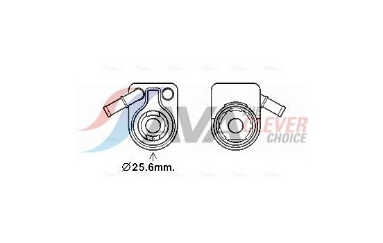 Oljekylare, motor