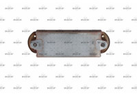 Oljekylare, motor