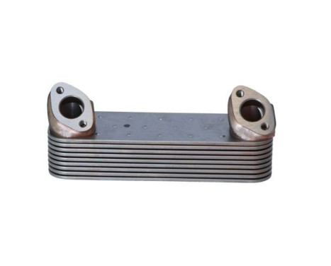Oljekylare, motor