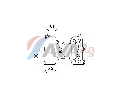 Oljekylare, motor