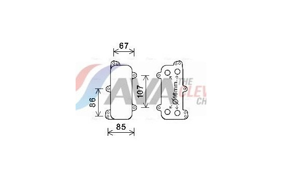 Oljekylare, motor