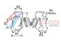 Oljekylare, motor