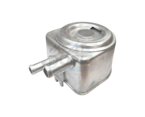 Oljekylare, motor