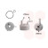 Oljekylare, motorolja *** IR PLUS *** 06013751 International Radiators, miniatyr 2