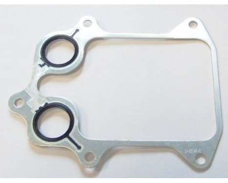 Packning, oljekylare