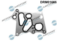 Packning, oljekylare