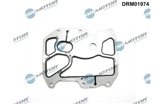 Packning, oljekylare