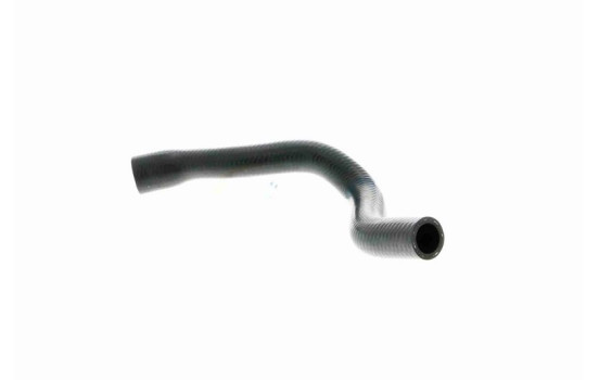 Kylarslang, bild 3