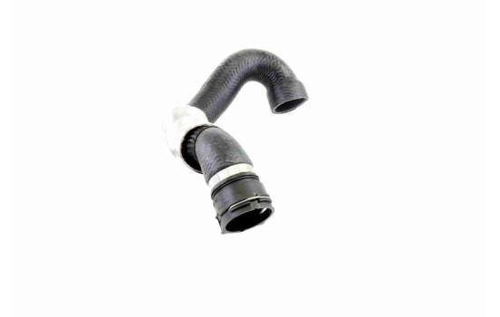 Kylarslang, bild 8