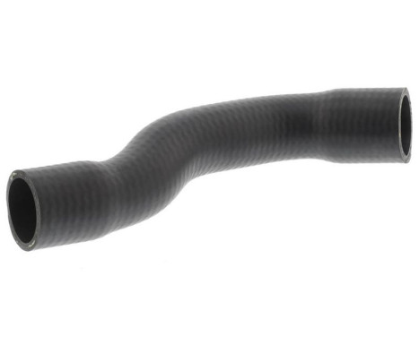 Kylarslang