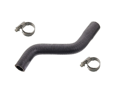 Oljeslang 103674 FEBI