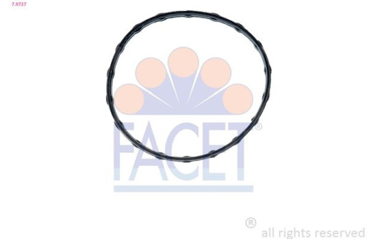 Packning, termostat 7.9737 Facet