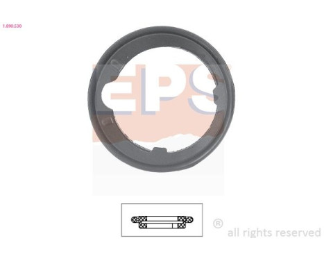 Packning, termostat Made in Italy - OE Equivalent