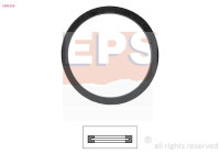 Packning, termostat Made in Italy - OE Equivalent