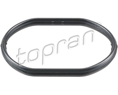 Packning, termostathus