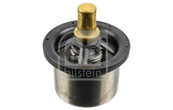 Termostat, kylvätska 173716 FEBI