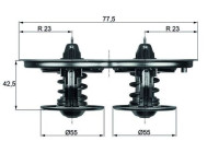 Termostat, kylvätska BEHR