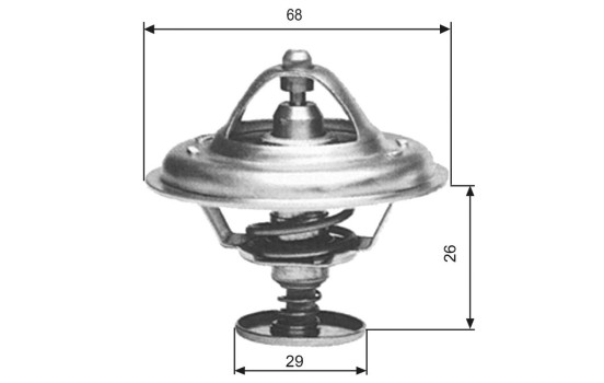 Termostat, kylvätska TH09781G1 Gates, bild 2