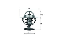 Termostat, kylvätska