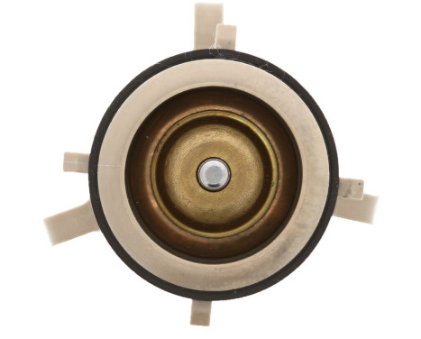 Termostat, kylvätska, bild 4