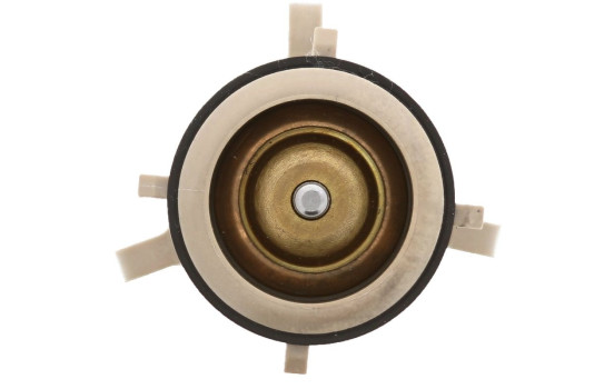 Termostat, kylvätska, bild 4