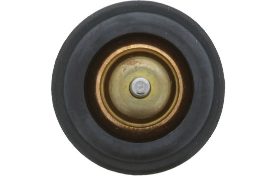 Termostat, kylvätska, bild 4