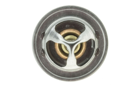 Termostat, kylvätska, bild 4